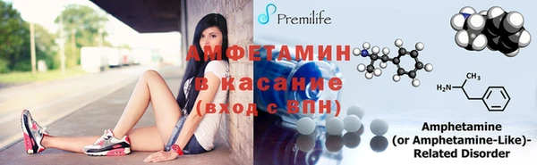 стаф Новодвинск