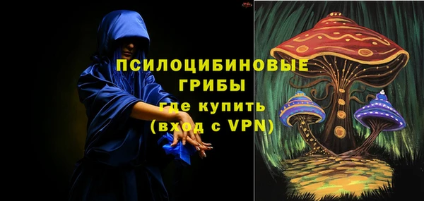 стаф Новодвинск
