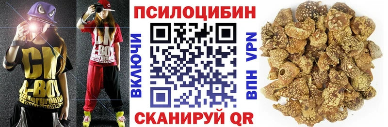 Псилоцибиновые грибы GOLDEN TEACHER  Кыштым 