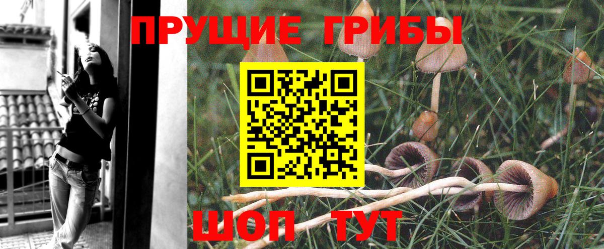Гашиш  Кыштым  Героин  Вход с VPN  Codein  Каннабис  МЕФ   МЕТАМФЕТАМИН 