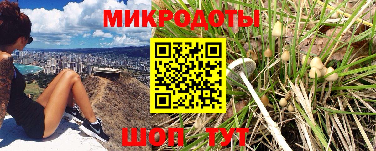 Псилоцибиновые грибы GOLDEN TEACHER Кыштым