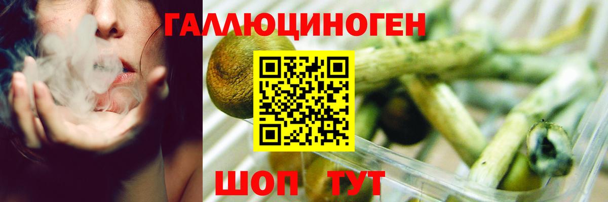 Псилоцибиновые грибы MAGIC MUSHROOMS  Вход с VPN  Кыштым 